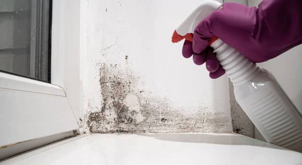 Best 24/7 water damage repair  in Kraemer, LA